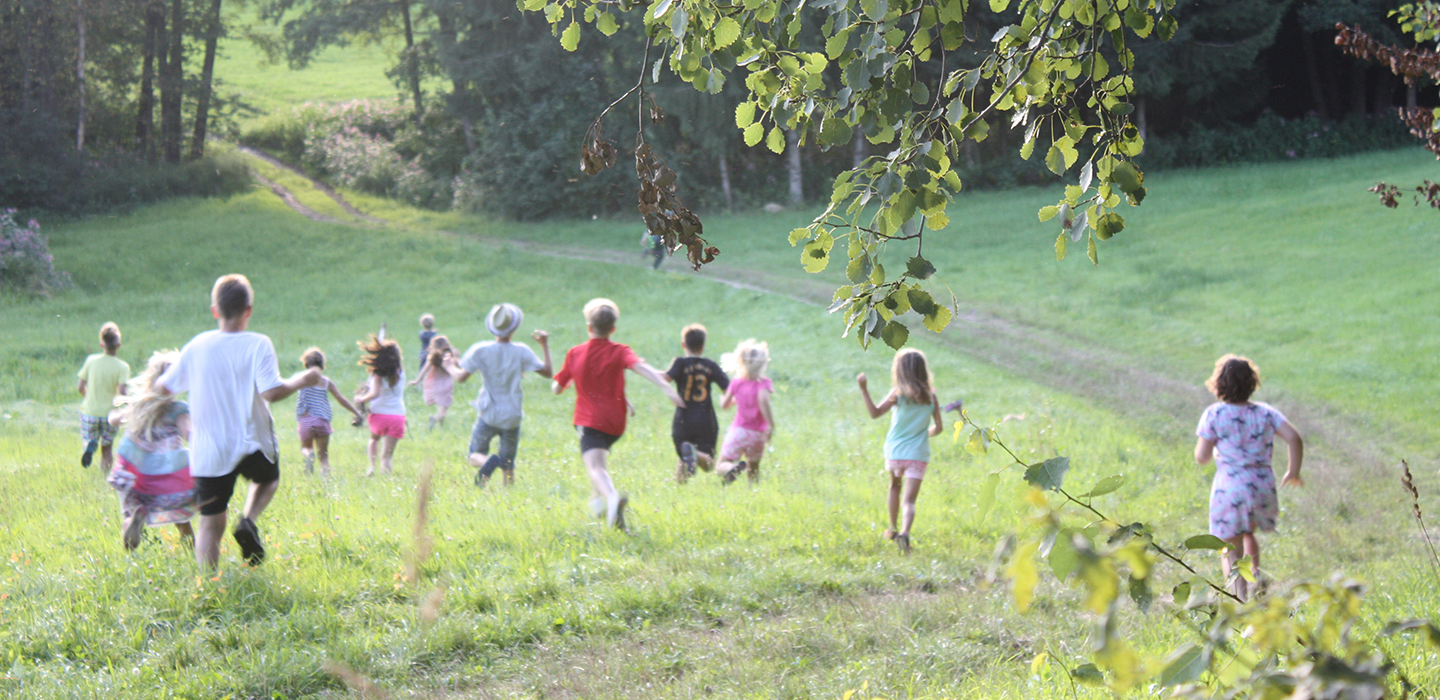 Kinder rennen auf einer Wiese